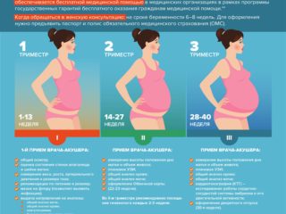 INFOGRAFIKA_2017_SOPROVOZHDENIE-BEREMENNOSTI-1
